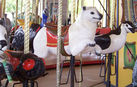 Carousel Works Cicada, Polar Bear, and Penguin