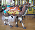 Carousel Works Camel