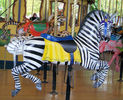 Carousel Works Zebra