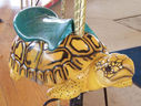 Brookfield Zoo