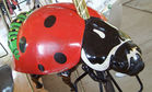 Carousel Works Ladybug