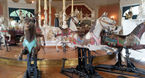 Heyn Horses