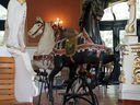 Heyn Horses