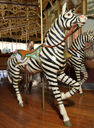 PTC 2nd Row Zebra