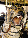 PTC Outside Row Tiger Head Detail