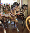 PTC 2nd and 3rd Row Standers