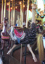 Dentzel Ostrich 3rd Row Jumper