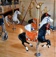 Allan Herschell Kiddie Horses