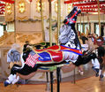 Parker Outside Row "Stargazer" Jumping Flag Horse