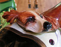 Parker Cantle Dog