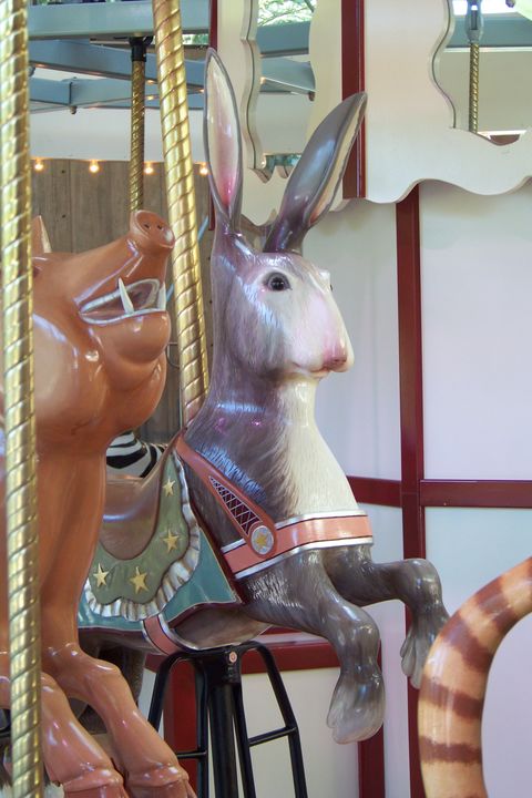 Click to display the next picture