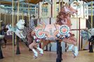 Carousel Magic Horse