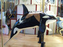 Carousel Magic Orca