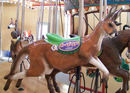 Carousel Works Kangaroo