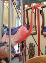 Carousel Works Flamingo