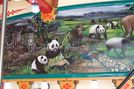 Inside Scenery Panels