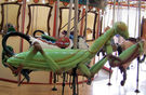 Carousel Works Praying Mantis