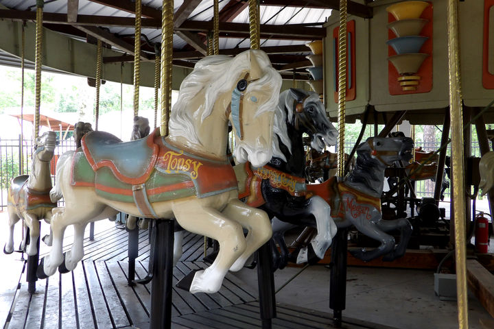 Click to display the next picture