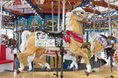 "Trigger" by Carousel Works ... Roy Rogers was born in Cincinnati