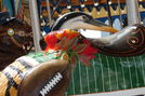 Fall Bengal Tiger Detail