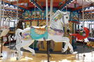 Wedding Horse by Carousel Works