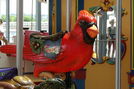 Cardinal by Carousel Works, Ohio's state bird