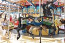 Black Stallion by Carousel Works ... for the Cincinnati Park Board