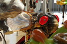 Cicada by Carousel Works