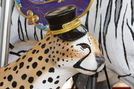 Cheetah Detail