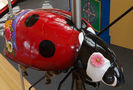 Spring Lady Bug by Carousel Works