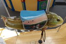 Ohio River Catfish by Carousel Works