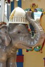 Baby Elephant Detail