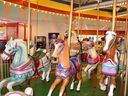 A Panorama of Horses
