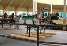 Prior and Church Derby - Williams Amusement Device Co. Horses