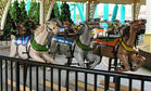 Prior and Church Derby - Williams Amusement Device Co. Horses