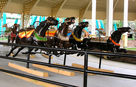 Prior and Church Derby - Williams Amusement Device Co. Horses