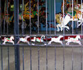 Wrought Iron Security Fence Decoration