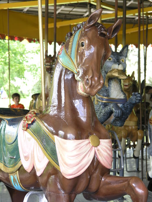 Click to display the next picture