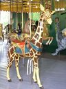 Dentzel Giraffe Outside Row Stander