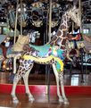 Outside Row Standing Giraffe