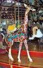 Tilley, Outside Row Standing Giraffe
