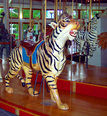 Outside Row Standing Tiger