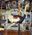 Second Row Ostrich