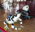 New Carved Frog and Panda