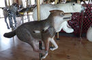 New Carved Coyote and Polar Bear