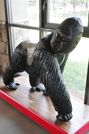 Gorilla On Display At The Carousel
