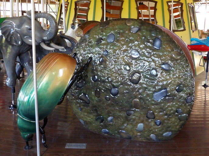 Click to display the next picture