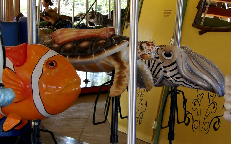 Click to display the next picture