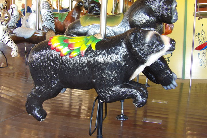 Click to display the next picture