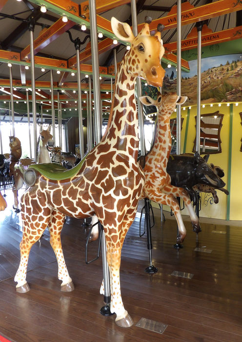 Click to display the next picture